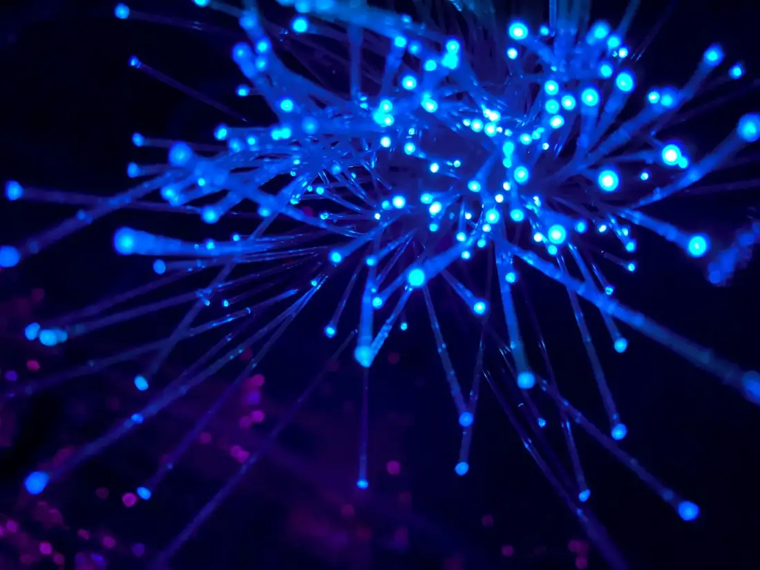 Fibre optic cabling feeding a business network, illustrating an nbn full fibre FTTP upgrade.