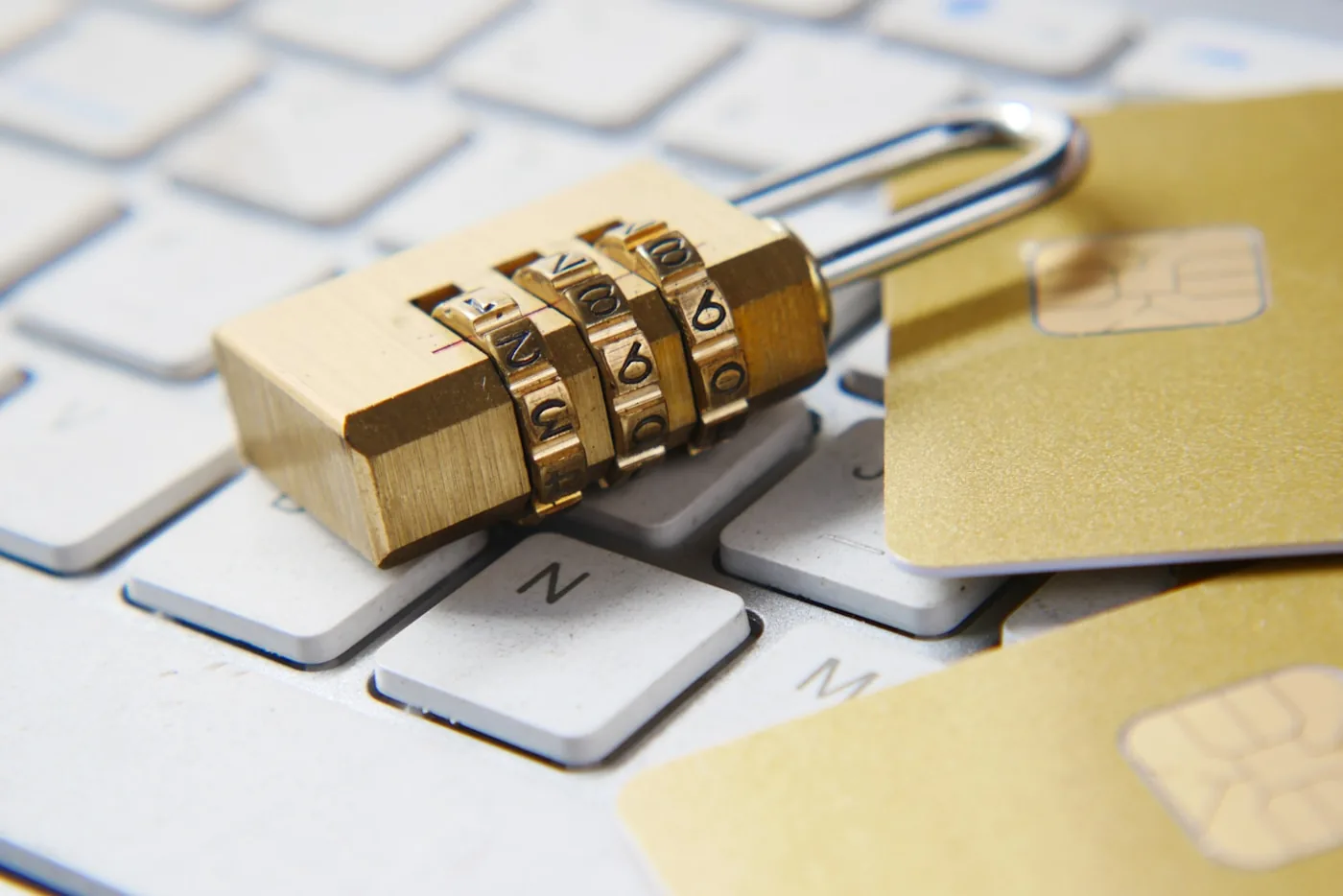 Password manager securing business logins