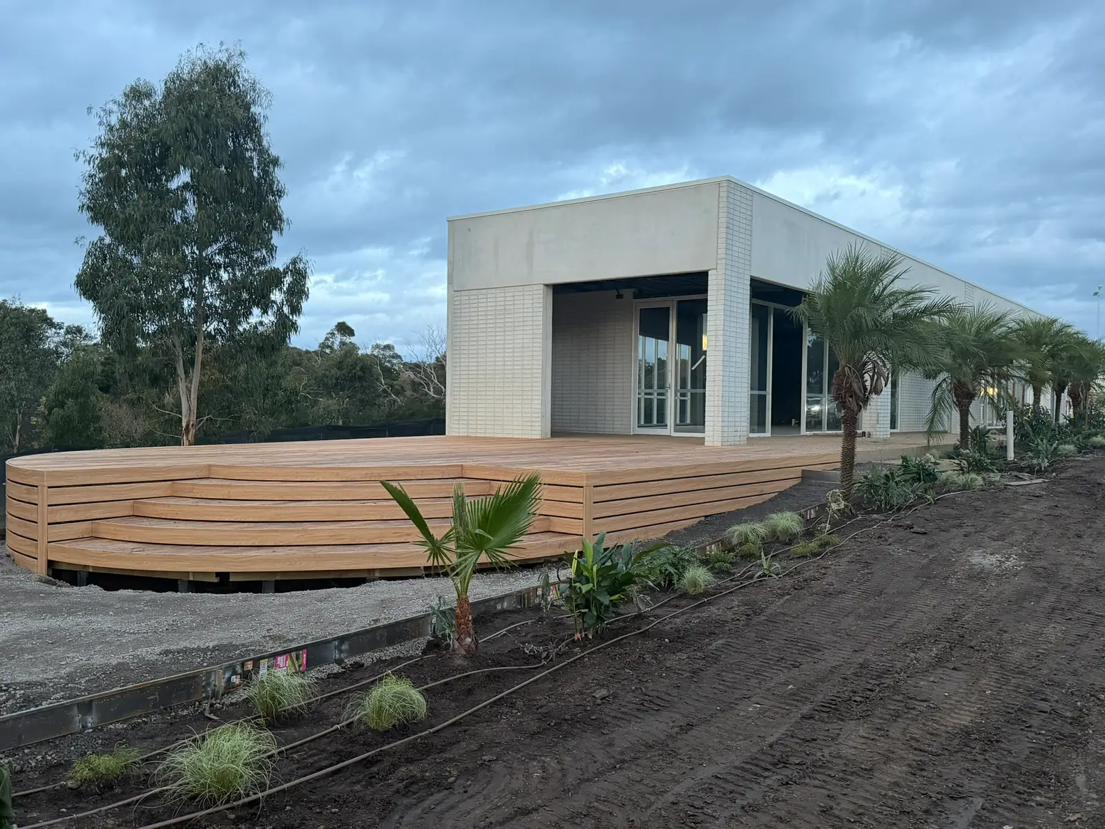 The curved communal timber deck at Free Form, Mornington, with young palms and the shared pavilion behind, taking shape during landscaping