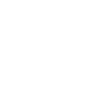 Agile IT logo