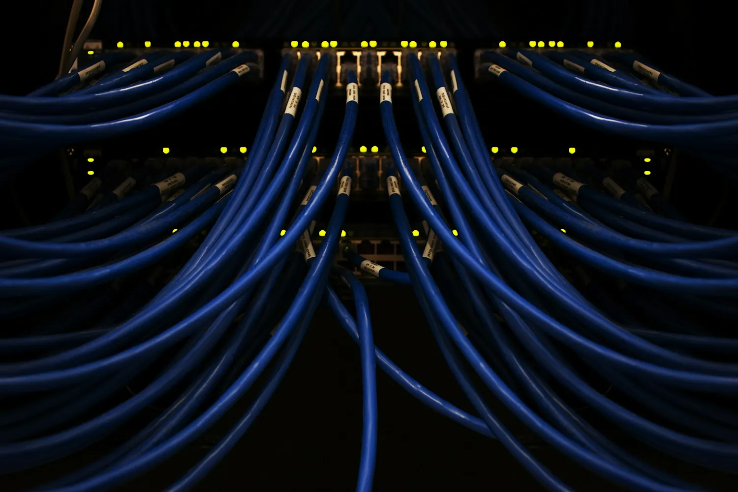 Rows of blue network cables running into switches in a comms rack, the cabling that outlasts the equipment it plugs into
